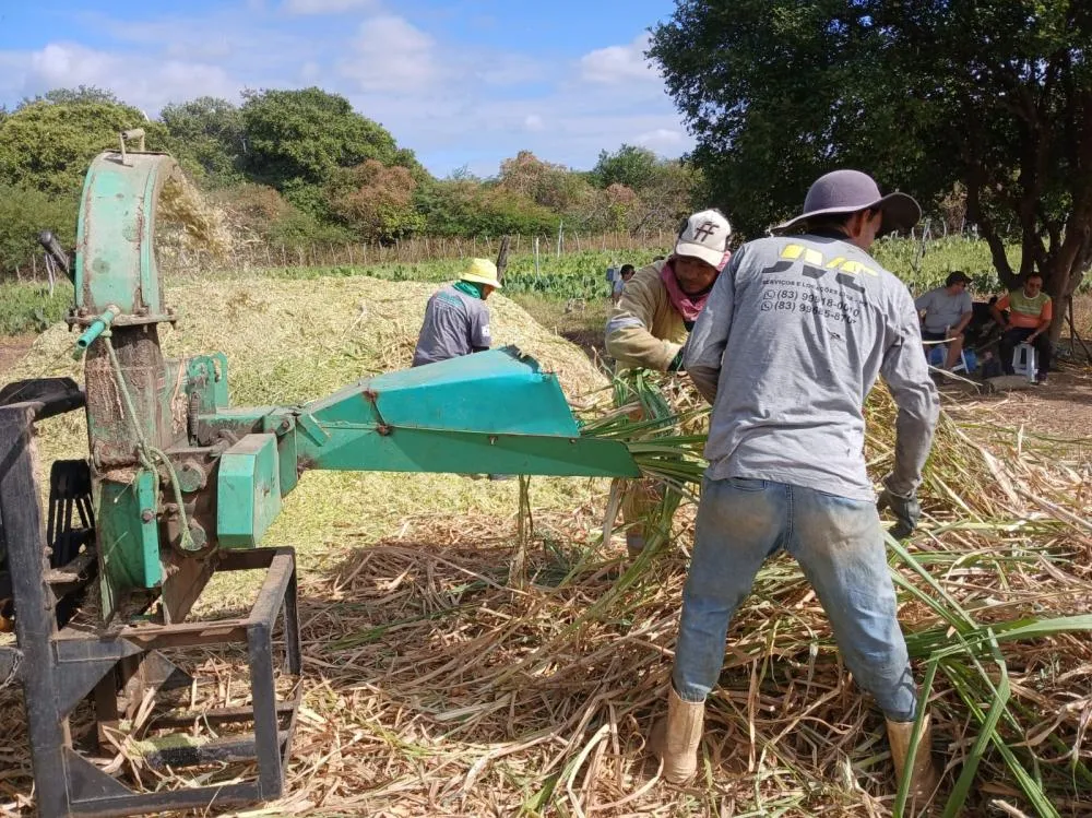Prefeitura de Patos fortalece produção de silagem para garantir alimentação dos rebanhos